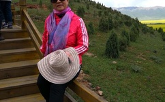 一本二本三本区别高清视频